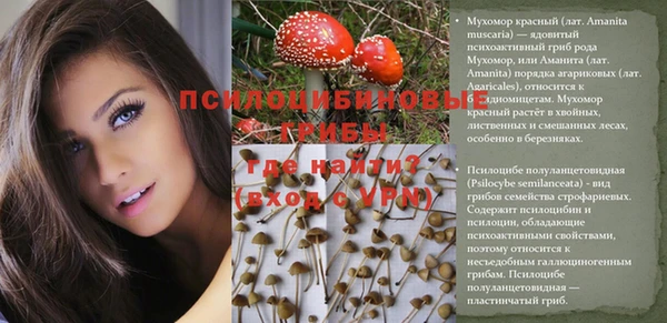ECSTASY Лиски
