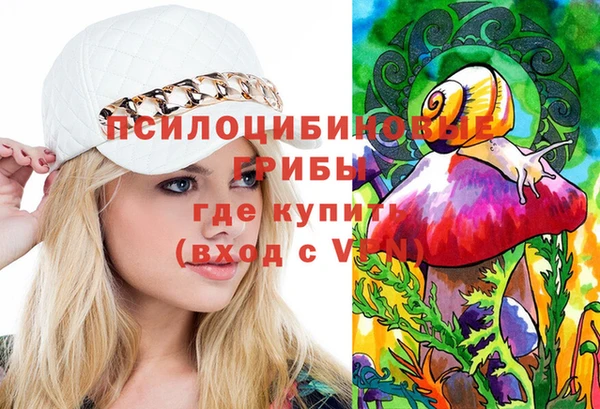 spice Лабытнанги