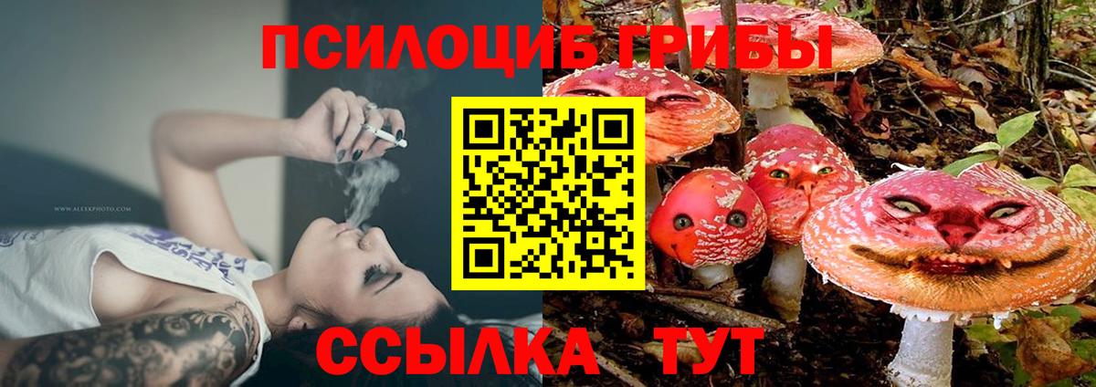 Можайск  Псилоцибиновые грибы мухоморы  Вход с VPN  Галлюциногенные грибы мухоморы 